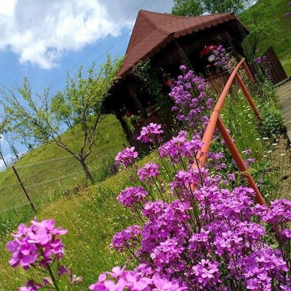 Pensiunea Agroturistica Stefan Viorica Moldovita Exterior foto